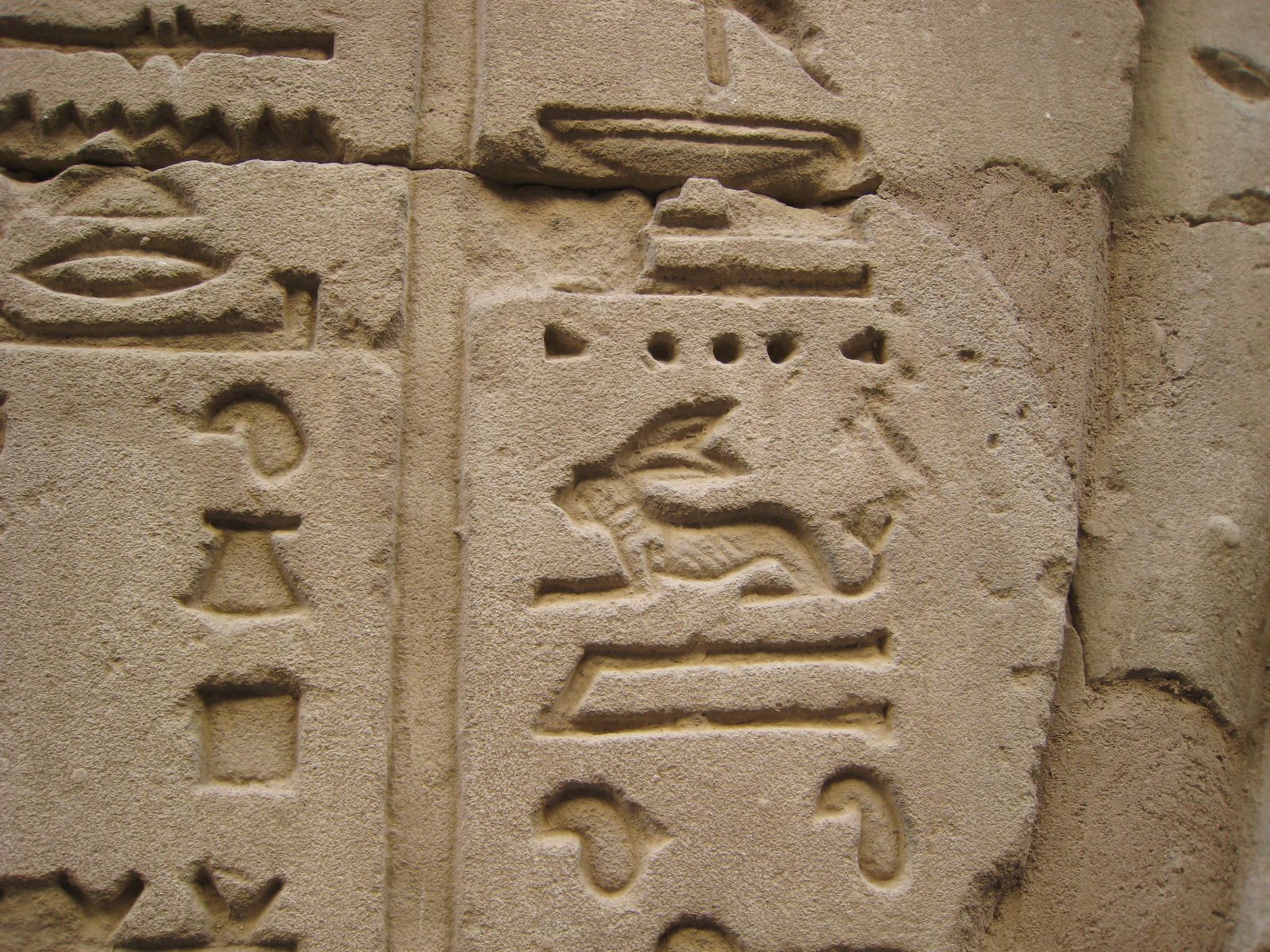 Imagen de una liebre en un grabado egipcio