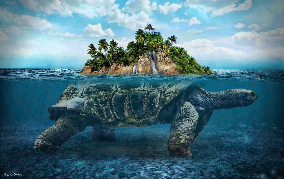 La isla tortuga y otras islas marinas monstruosas