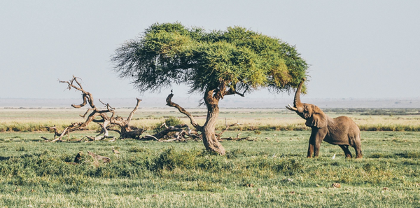 Mitología africana un breve repaso