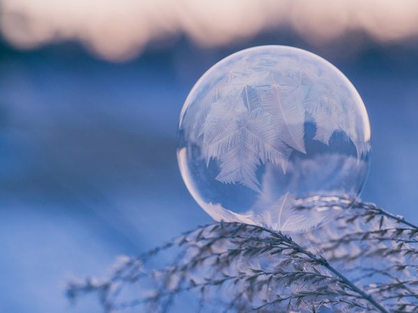 Amor y pérdida en la época de invierno: 3 Cuentos