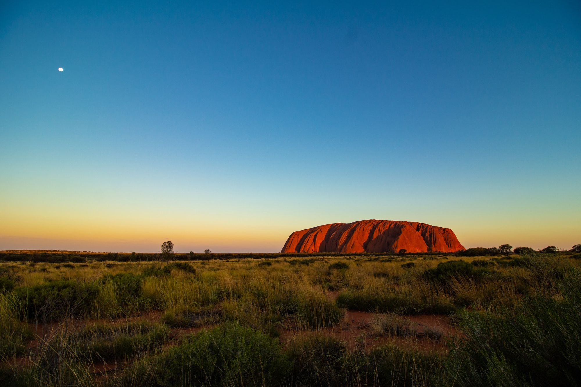 Mitología aborigen australiana un breve repaso